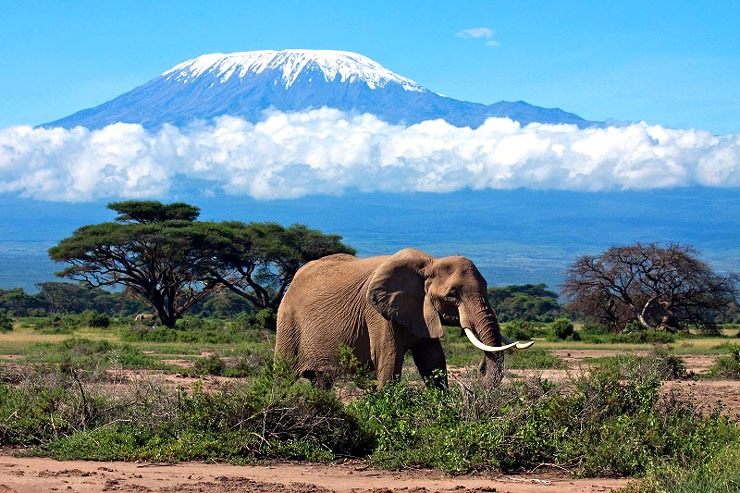 03 Days - Amboseli Tour Private Safari.